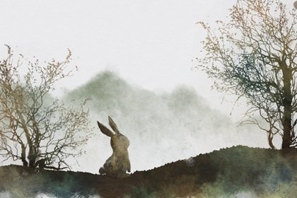 2023年春节属兔的吉祥幸运色和忌讳颜色是什么